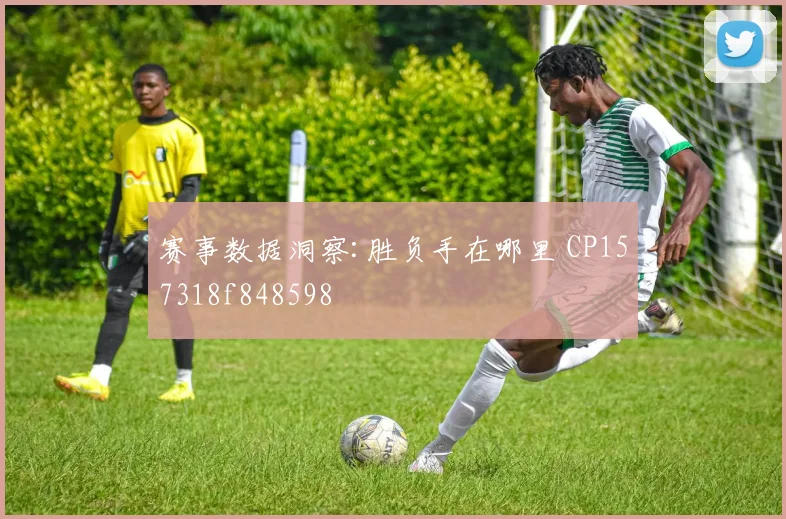 赛事数据洞察:胜负手在哪里 CP157318f848598