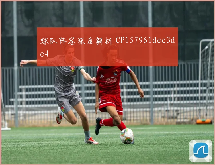 球队阵容深度解析 CP157961dec3de4