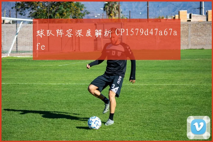 球队阵容深度解析 CP1579d47a67afe